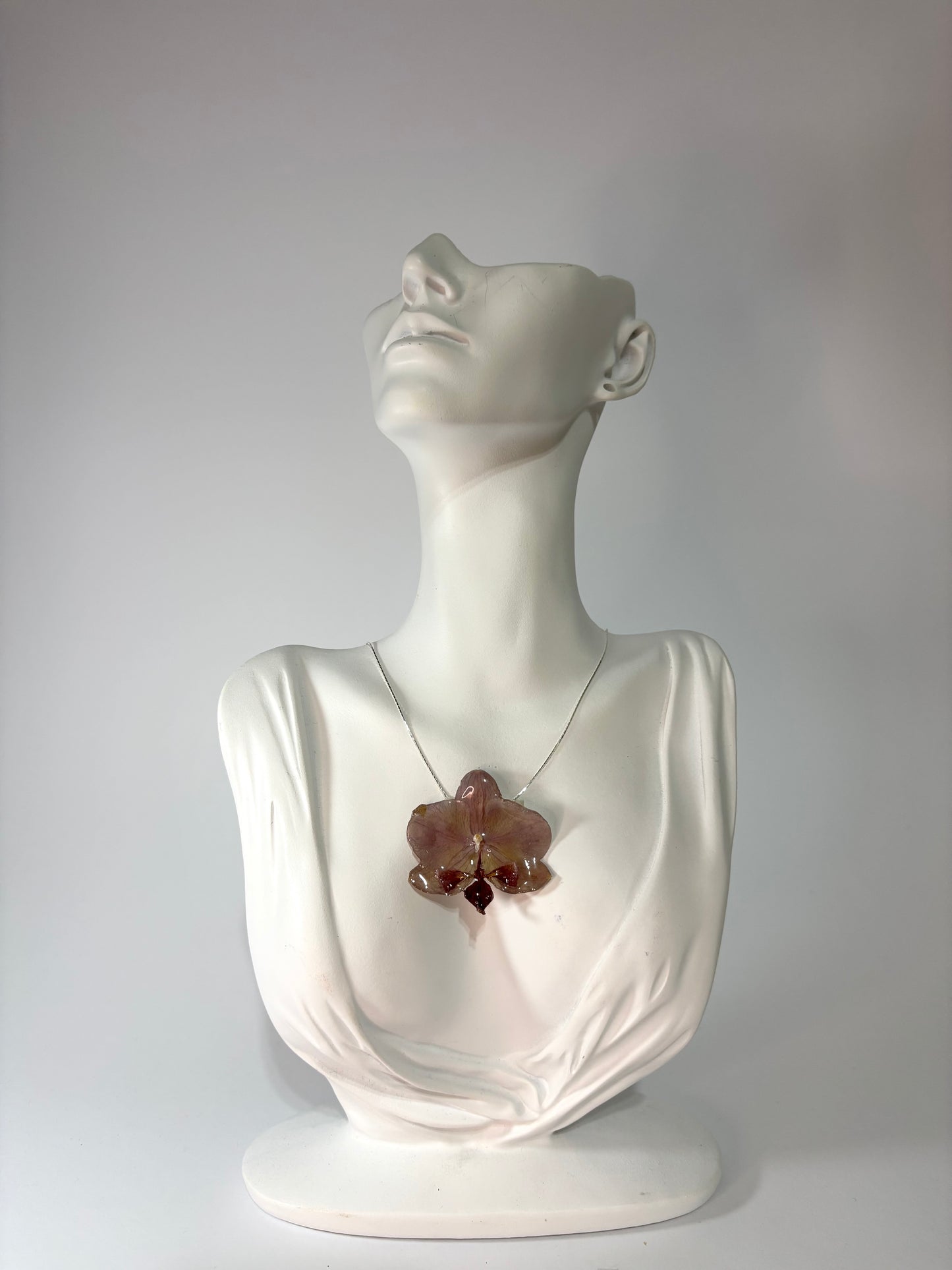 Mini burgundy orchid
