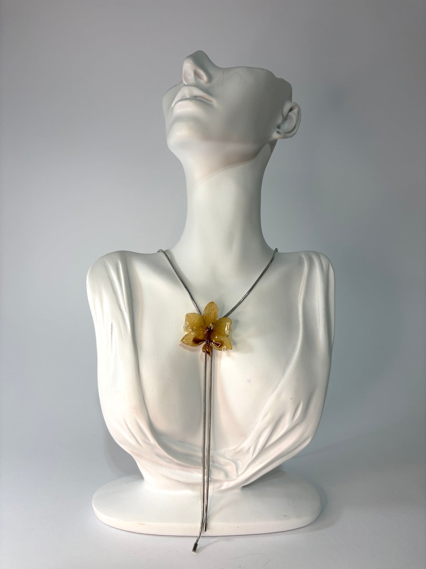 Mini brown orchid
