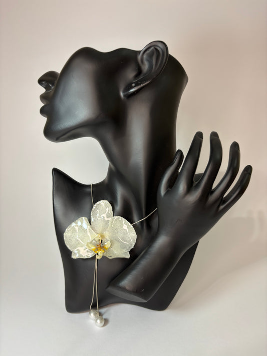 White Diamond 🌴🥥