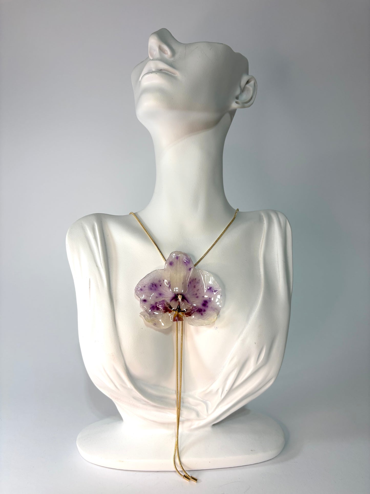 Touch of purple orchid