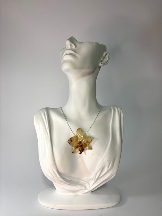 Mini soft brown orchid