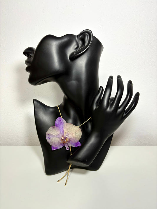 Soft purple orchid