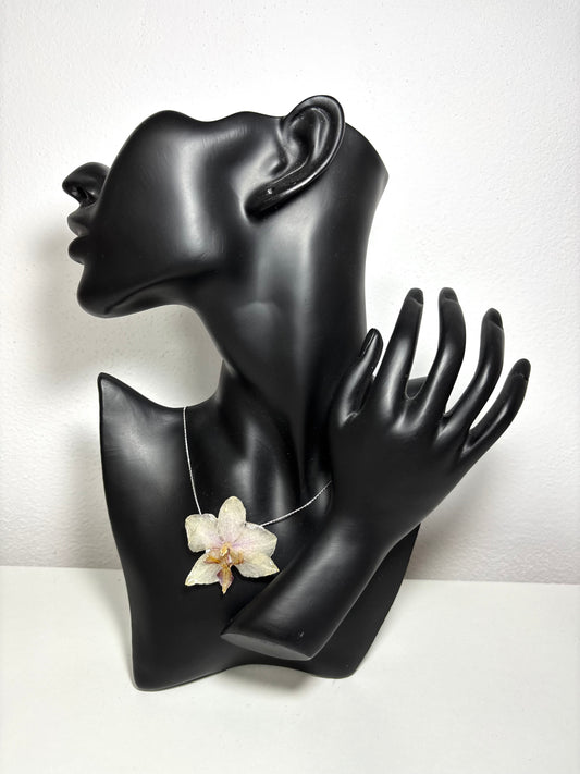 Moon orchid