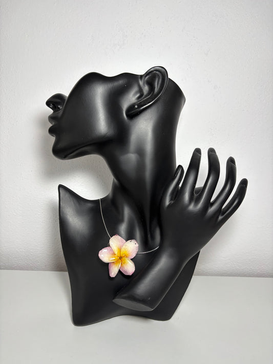 Soft pink Plumeria