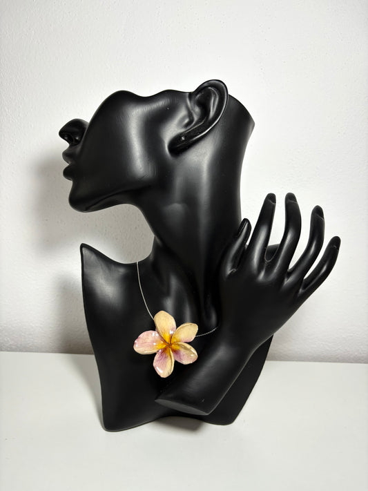 Honeykiss Plumeria