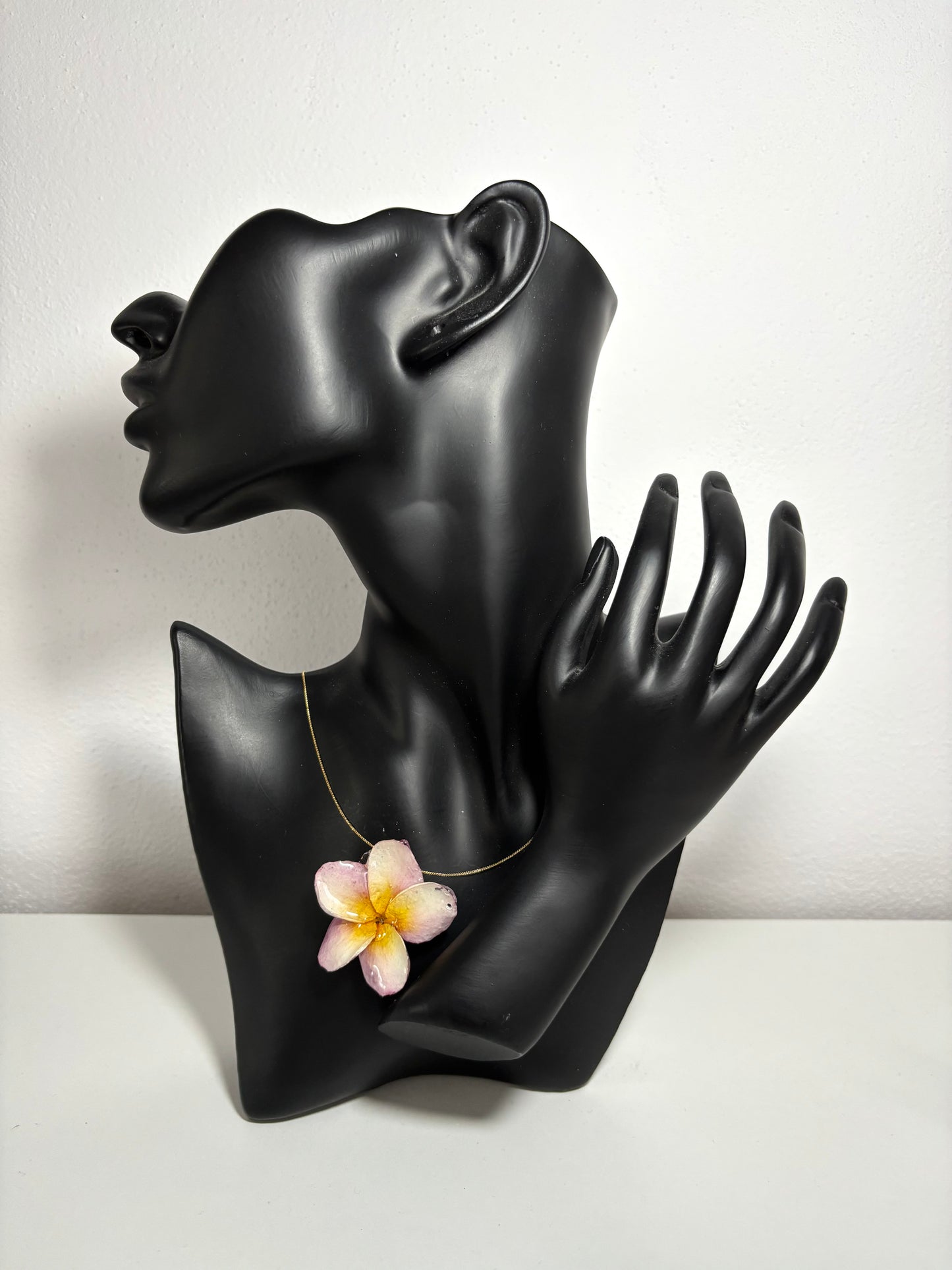Soft pink Plumeria