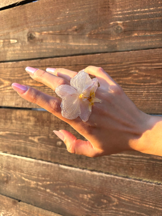 Blush orchid ring 💕
