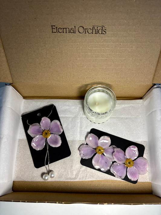 Aurora Set