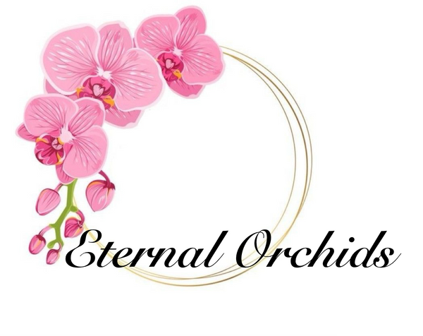Eternal Orchid