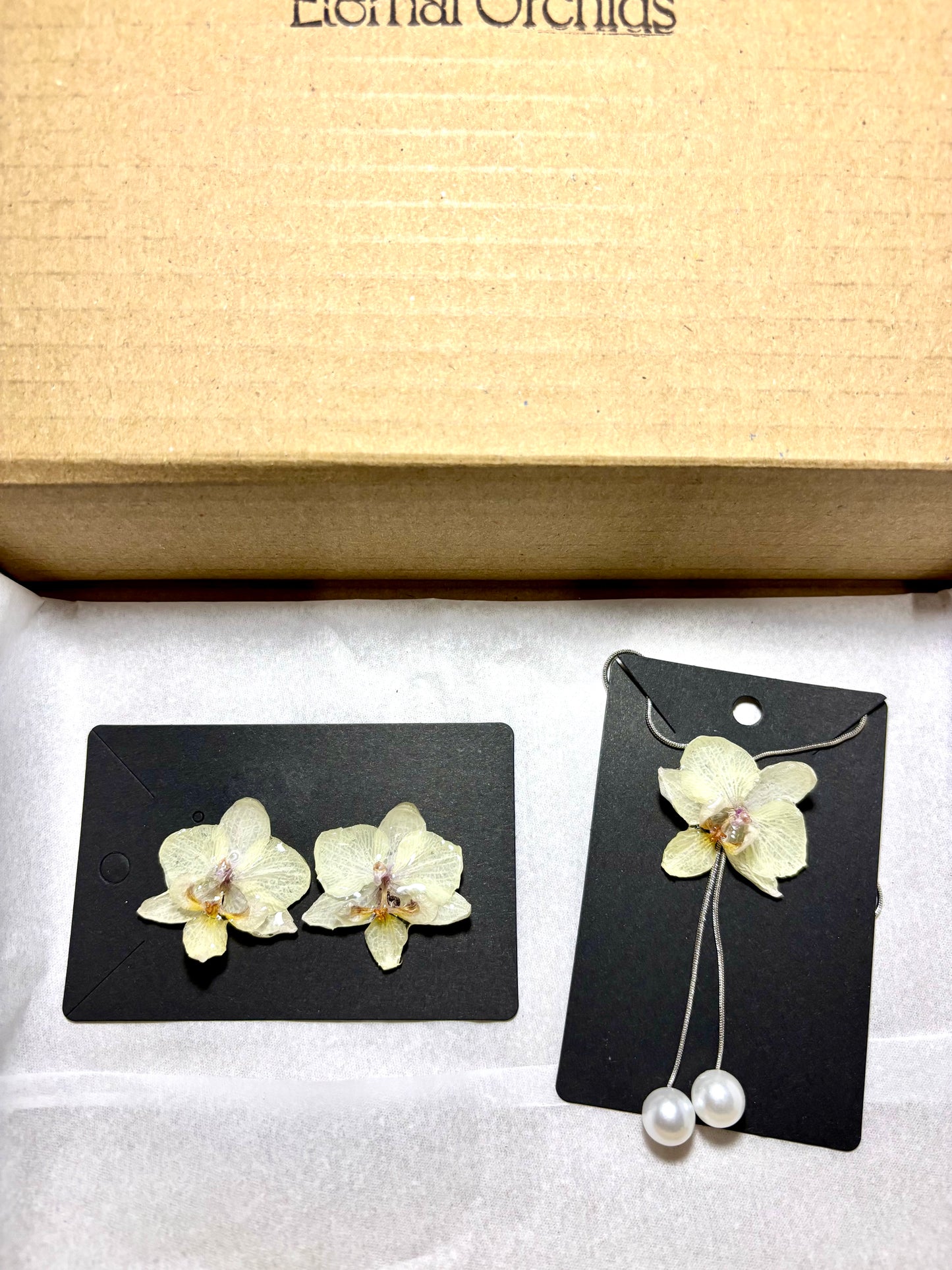 Set white orchids