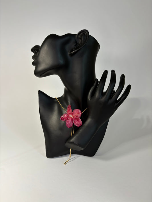 Dark red Hibiscus