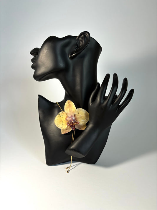 Sunset orchid