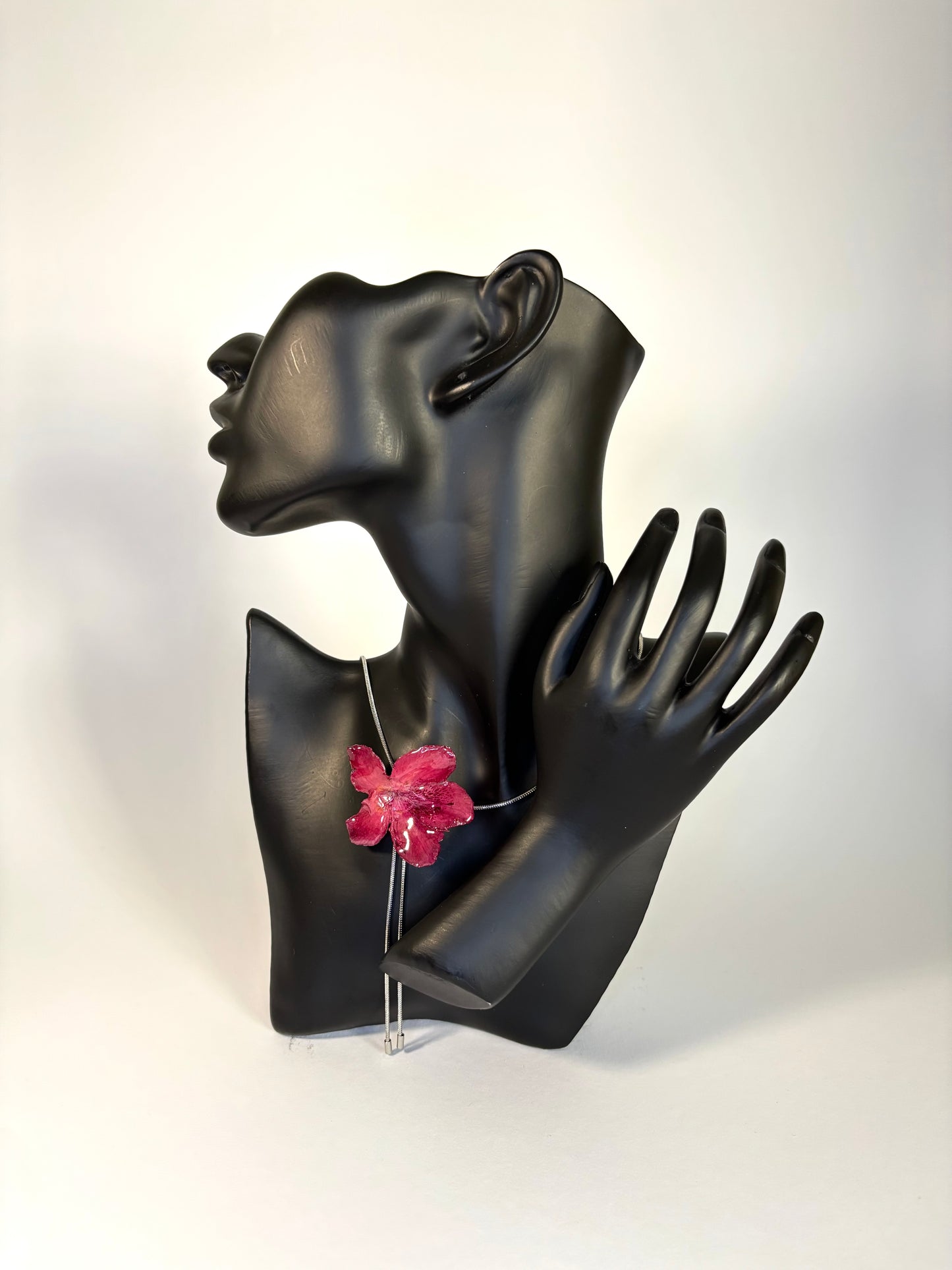 Dark red Hibiscus