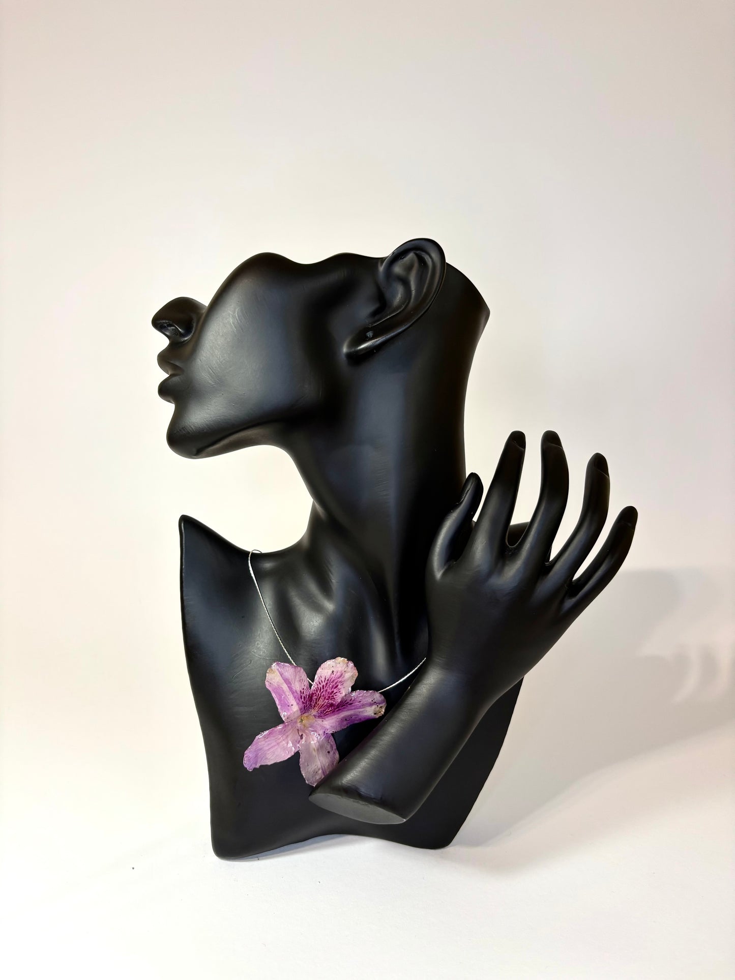 Hawaiian Hibiscus