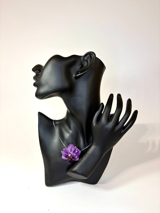 Dark purple mini orchid