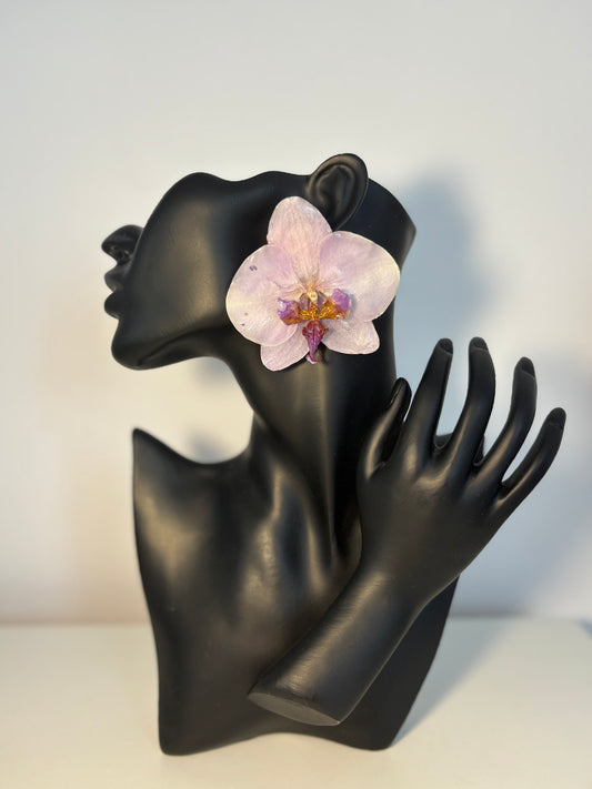Cercei Lotus