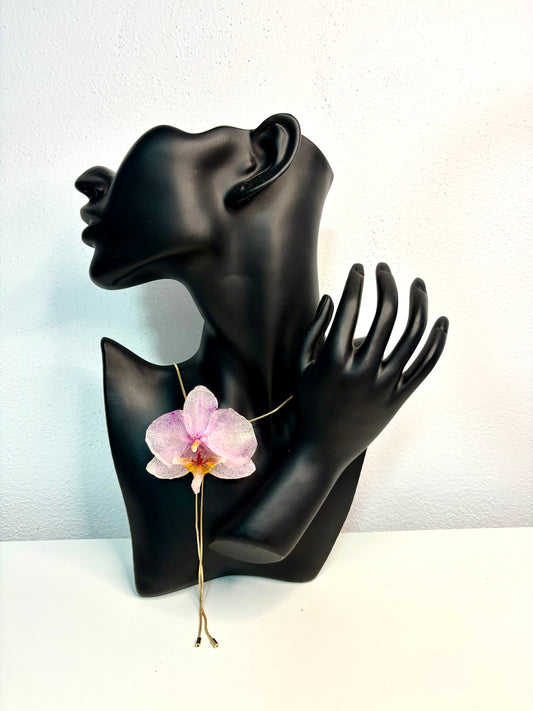 Pink orchid