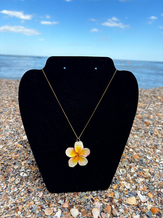 Sunset Plumeria