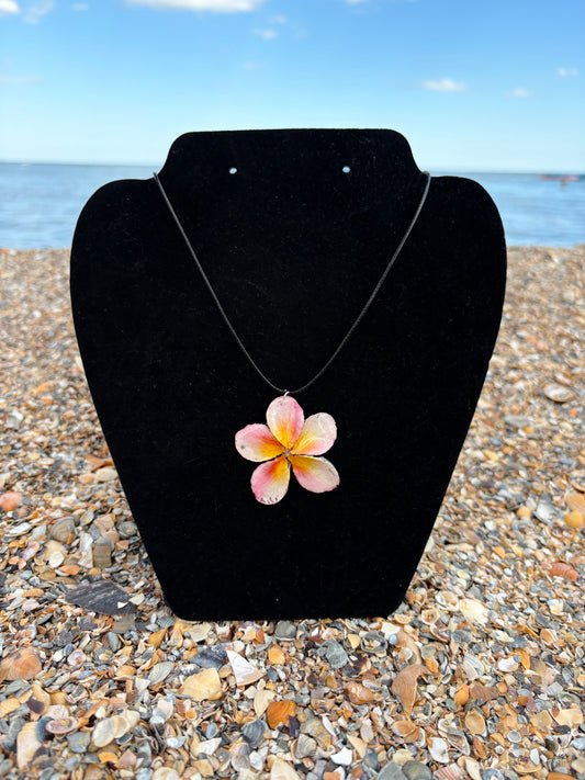Peachy Plumeria